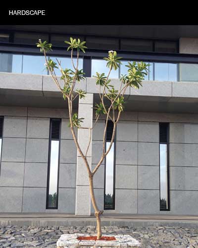 hardscape